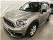 MINI COUNTRYMAN 07/2020